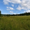 Zlatohorská vrchovina